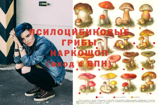 марки lsd Краснотурьинск