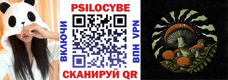 Купить закладки  Кулебаки  Псилоцибиновые грибы Psilocybe 